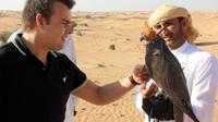 Private Tour: Dubai Falconry Experience with Wildlife Drive and Optional Breakfast