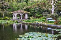 Green Mountains of Matagalpa and Coffee Tour