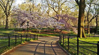 Location Central Park Bike