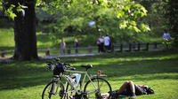 Central Park Bike Tour