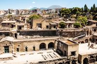 Herculaneum Ruins Private Half-Day Tour