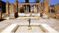 Pompeii Ruins Private Half-Day Tour 