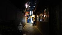 Dark Side of Seoul Evening Ghost Tour