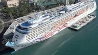 Shared Orlando Cruise Port Transfer: Airport to Port