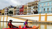 Kayak Tour in Seville