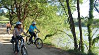 Bike Tour Through the Penedès Wineries