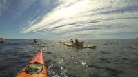 Sea Kayaking Tour in Split