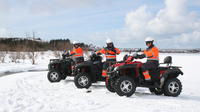 Reykjavik 1-Hour Quad Bike Tour