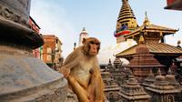 Explorez autour Katmandou