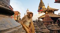 Private Kathmandu Sightseeing Tour