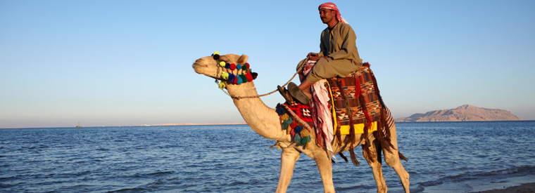 Sharm el Sheikh Tours, Travel & Activities