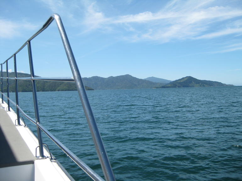 Seafood Odyssea Marlborough Sounds Cruise from Picton