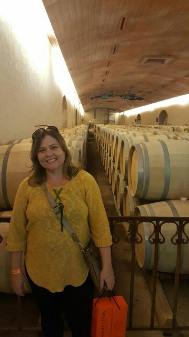 Concha y Toro Winery Tour from Santiago