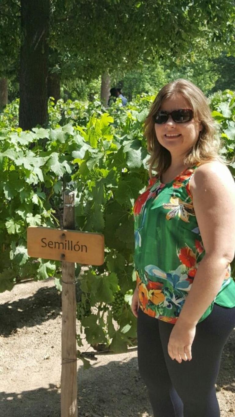 Concha y Toro Winery Tour from Santiago