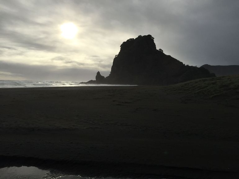 Afternoon Piha Beach and Rainforest Tour from Auckland