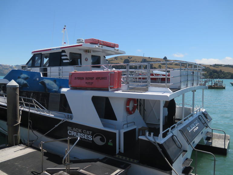 Akaroa Full Day Sightseeing Tour from Christchurch