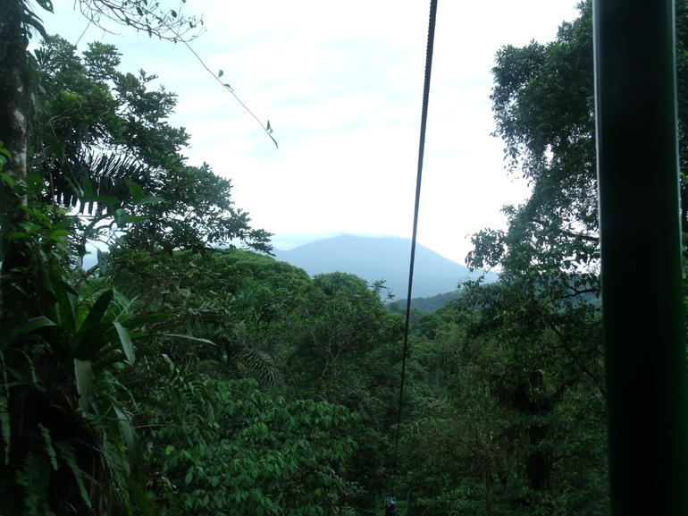 Rainforest Adventure Atlantic Aerial Tram Tour photo 4