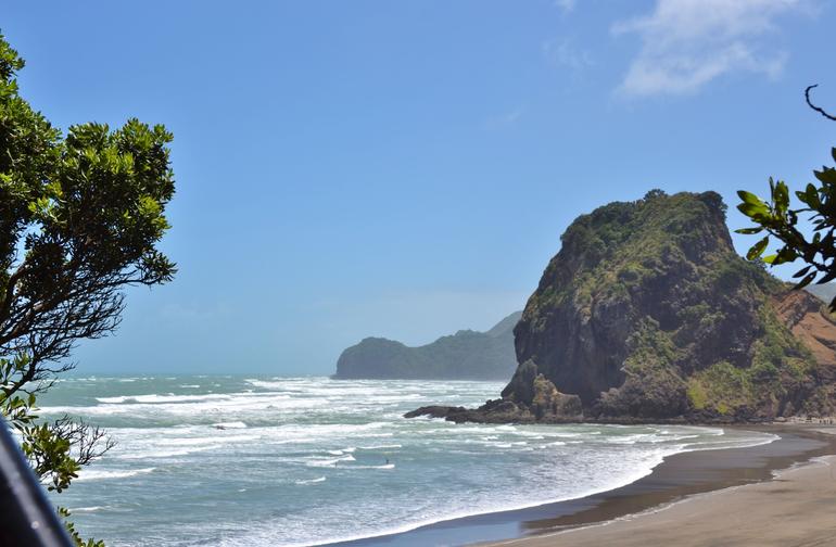 Coast and Rainforest Eco-Tour from Auckland with Lunch