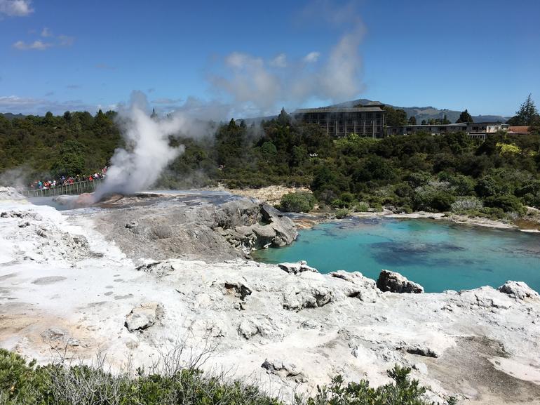 Shore Excursion: Rotorua Cultural and Geothermal Experience from Tauranga