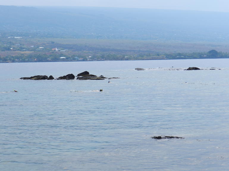 Snorkel, Kayak and Dolphin Experience in the Big Island’s Kealakekua Bay photo 4