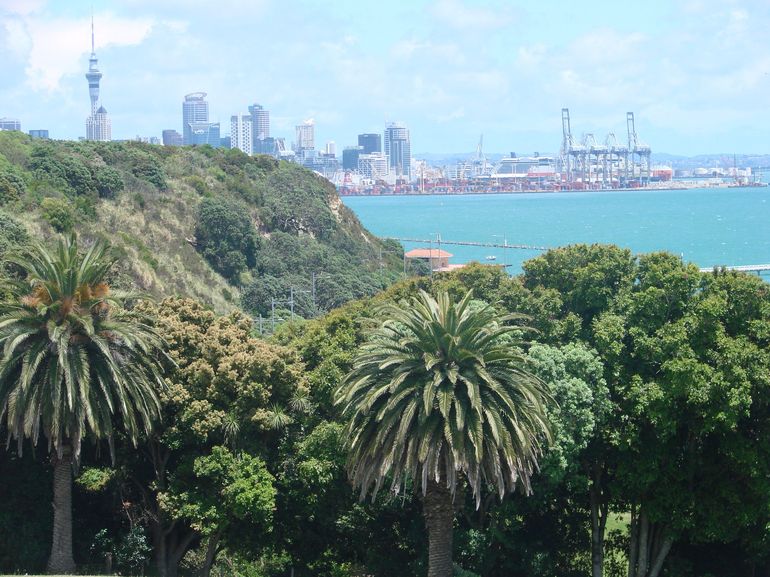 Auckland Hidden Gems Tour- A personalised introduction to Auckland