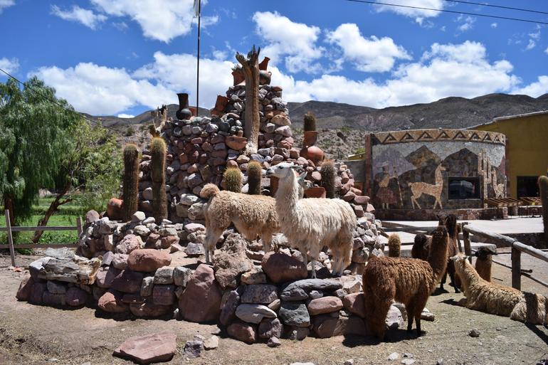 Quebrada de Humahuaca Day Trip from Salta Including Purmamarca