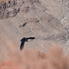 Photo of Las Vegas Excursão diurna de Las Vegas para o Grand Canyon West Rim e a represa Hoover com Skywalk opcional 