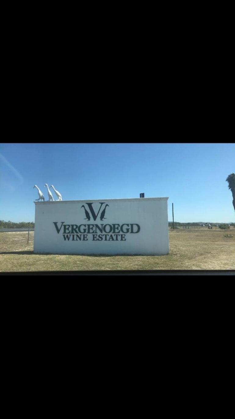 Half Day Wine Tasting Big Cat and Wild Bird Sanctuary Tour photo 4