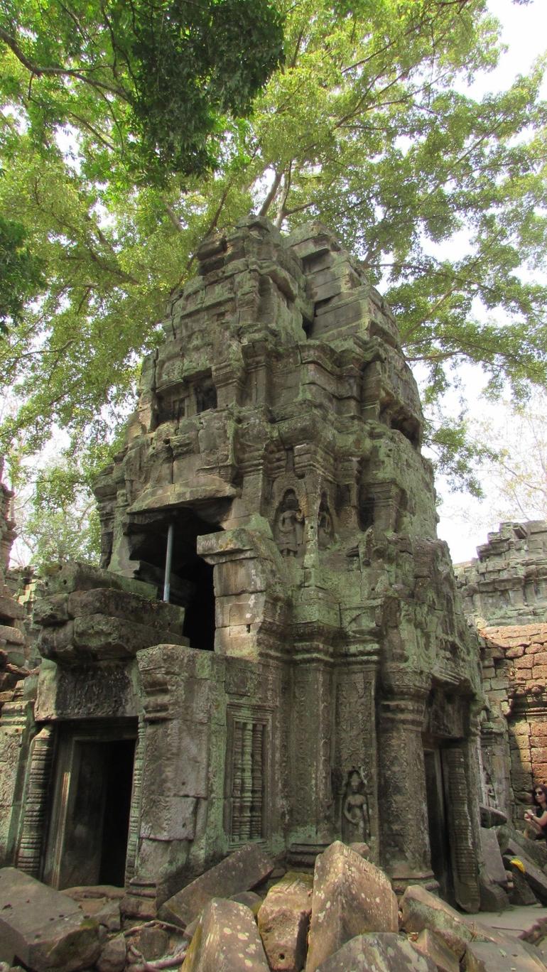 Half Day Join-In Angkor Wat Sunrise Tour by Minibus
