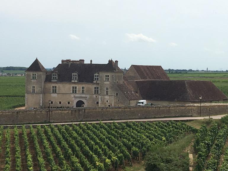 Small-Group Burgundy Wine and Cheese Tasting Half-Day Tour from Dijon photo 4