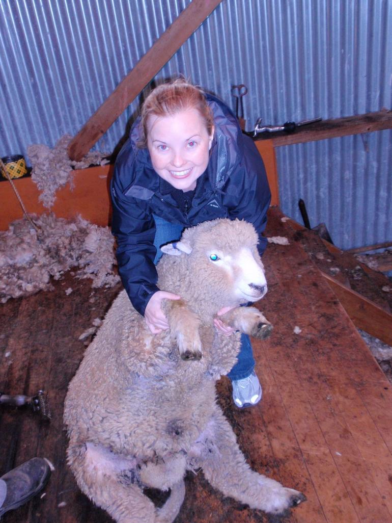 Christchurch Sheep Farm Visit