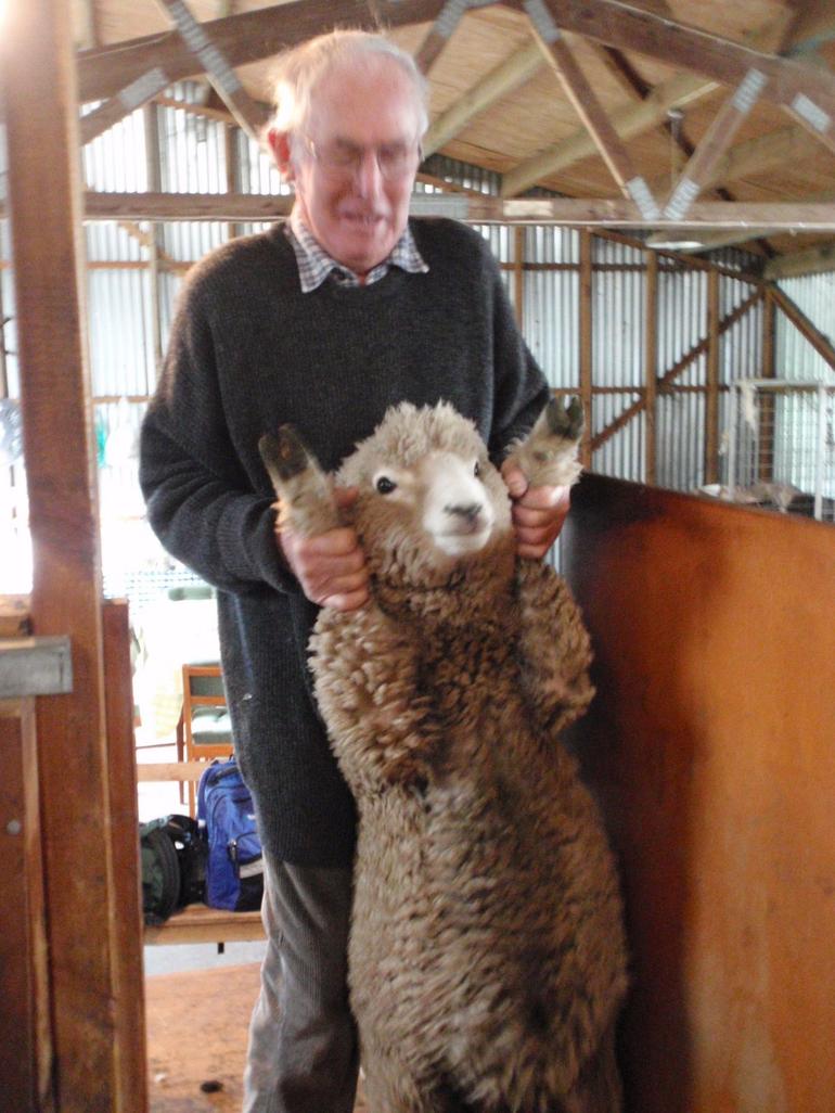 Christchurch Sheep Farm Visit