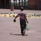 Birds are fed in the central courtyard of the Delhi Mosque - Photo by: Balti-most, USA