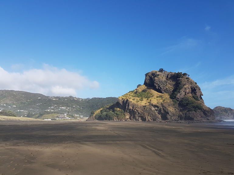 Afternoon Piha Beach and Rainforest Tour from Auckland