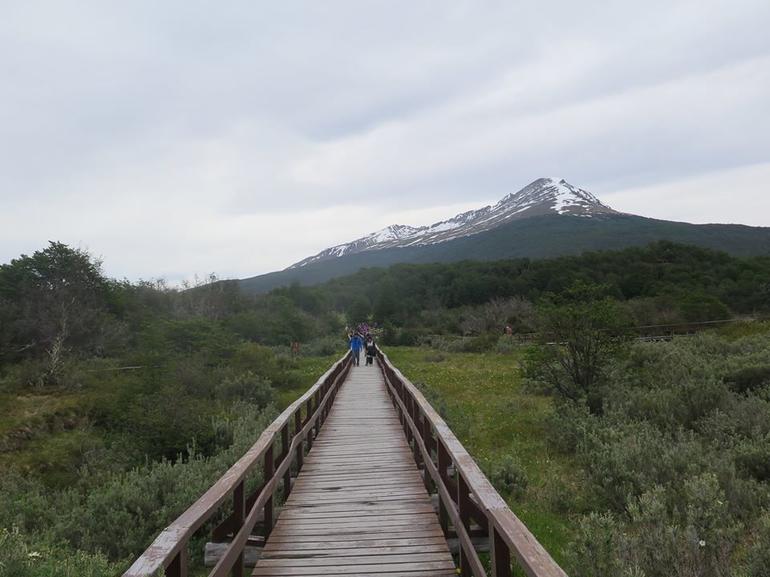 Tierra del Fuego and Beagle Channel Combo Tour by Train and Boat