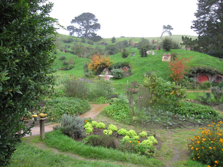 Small-Group Hobbiton Movie Set Tour from Auckland with Lunch
