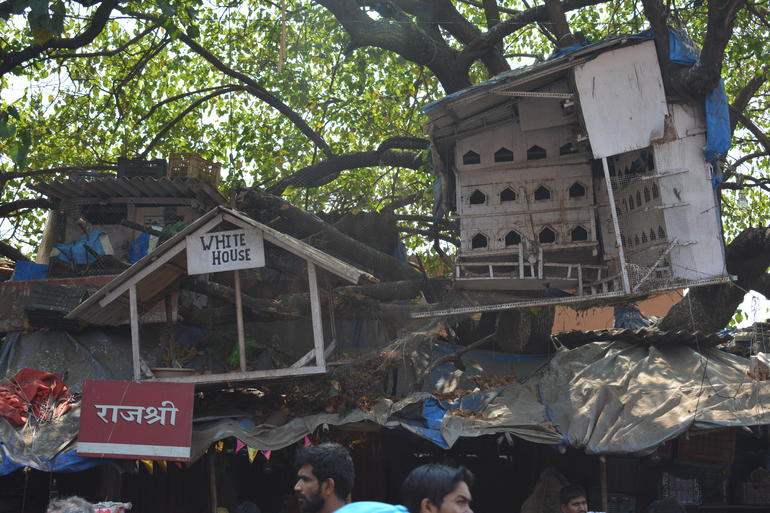 Walking Tour of Famous Dharavi Slum