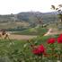 Photo of Florença Excursão turística de um dia pela Toscana Chianti - San Gmignano