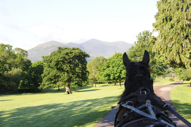 Jaunting Car Tour to Ross Castle from Killarney