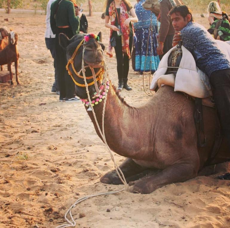 Camel Safari Day Tour in Jodhpur