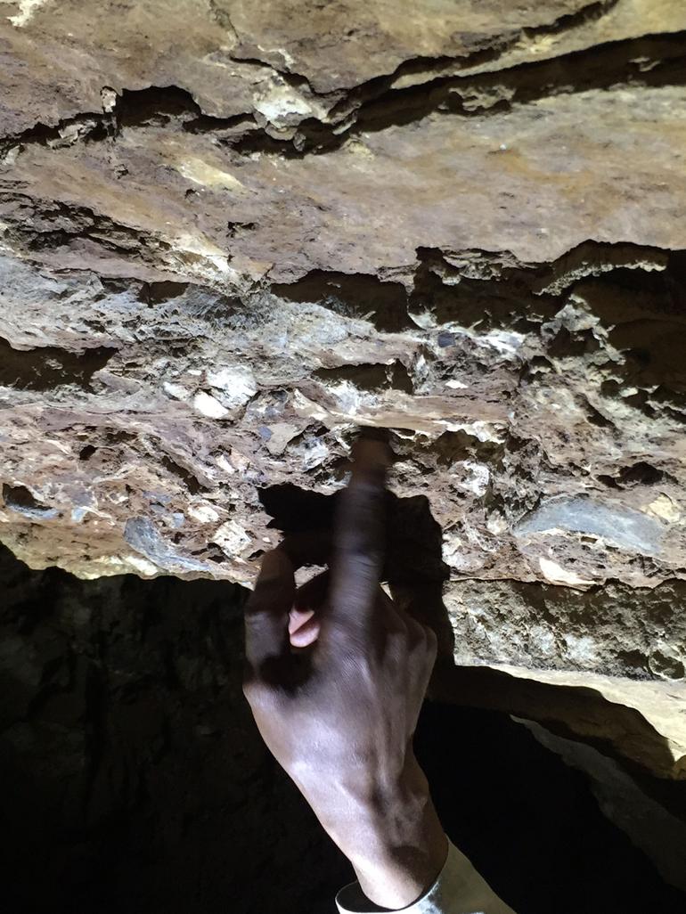 Cradle of Humankind photo 4