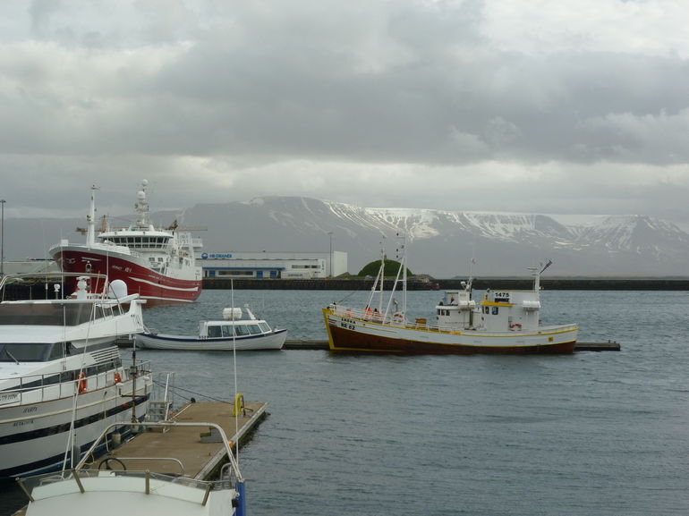 Puffin Express Cruise from Reykjavik