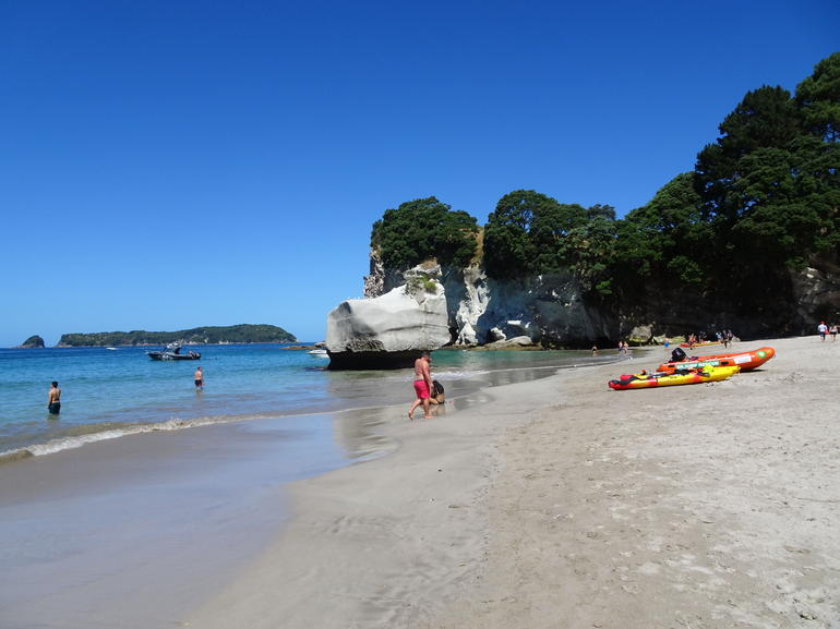 Small-Group Coromandel Peninsula Day Trip from Auckland