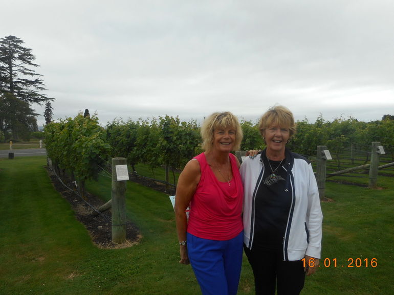 Picton Shore Excursion Marlborough Wine Region Small-Group Tour