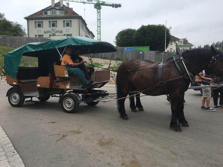 Skip-the-Line: Neuschwanstein Castle Tour Including Horse-Drawn Carriage Ride