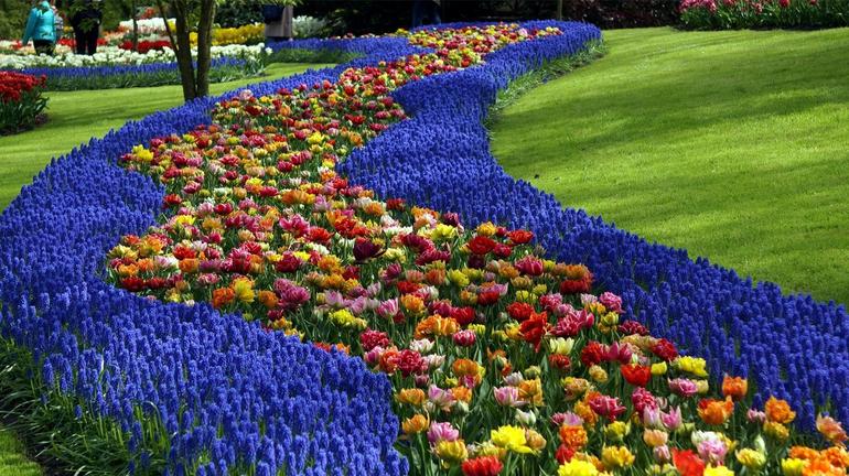 Keukenhof Garden and Flower Fields Day Tour from Rotterdam