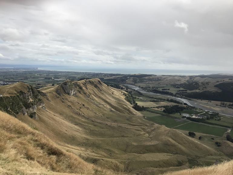 Shore Excursion: 4-Hour Discover Hawkes Bay and Napier Tour