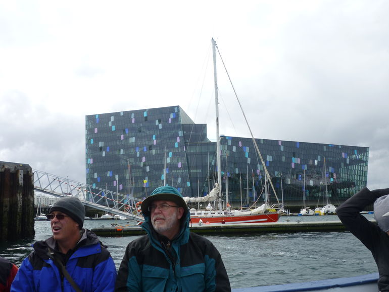 Puffin Express Cruise from Reykjavik