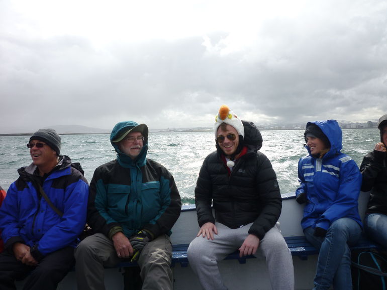 Puffin Express Cruise from Reykjavik