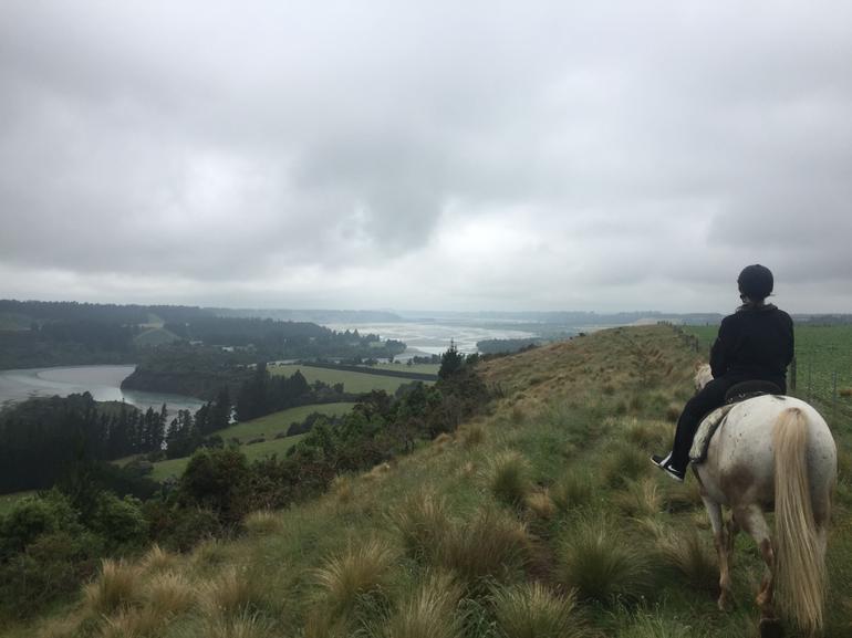 Rubicon Valley Horse Treks - 2 Hour River Trail Horse Trek photo 4